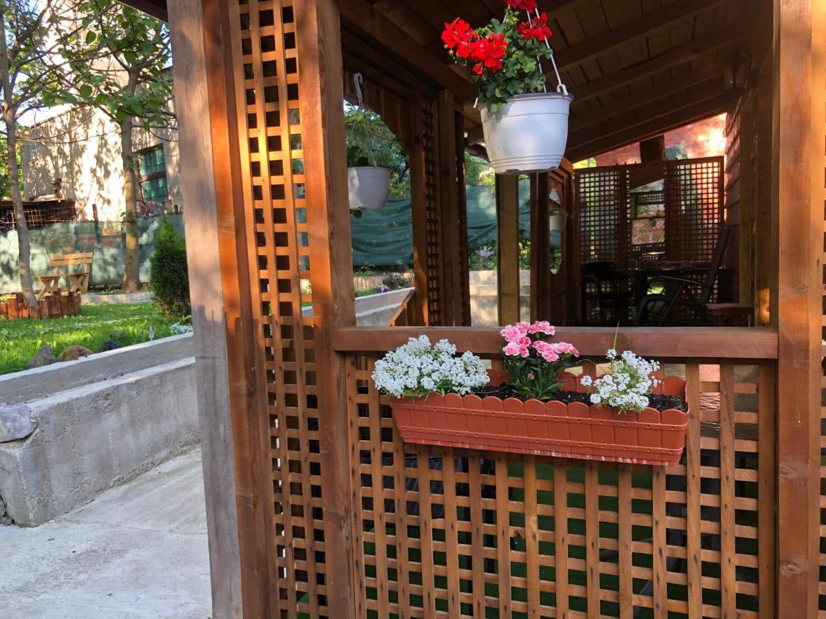 Casa Anina Hotel Exterior photo